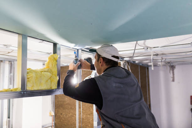 Best Insulation Removal  in Prescott, WI