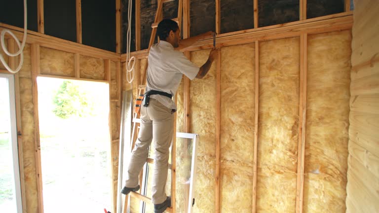 Best Wall Insulation Installation  in Prescott, WI