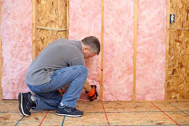 Best Attic Insulation Installation  in Prescott, WI