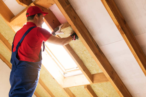 Best Insulation Air Sealing  in Prescott, WI